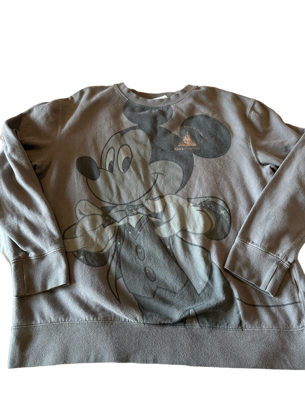 Disney Mickey Mouse Walt Disney World 50th Gray Sweatshirt Large